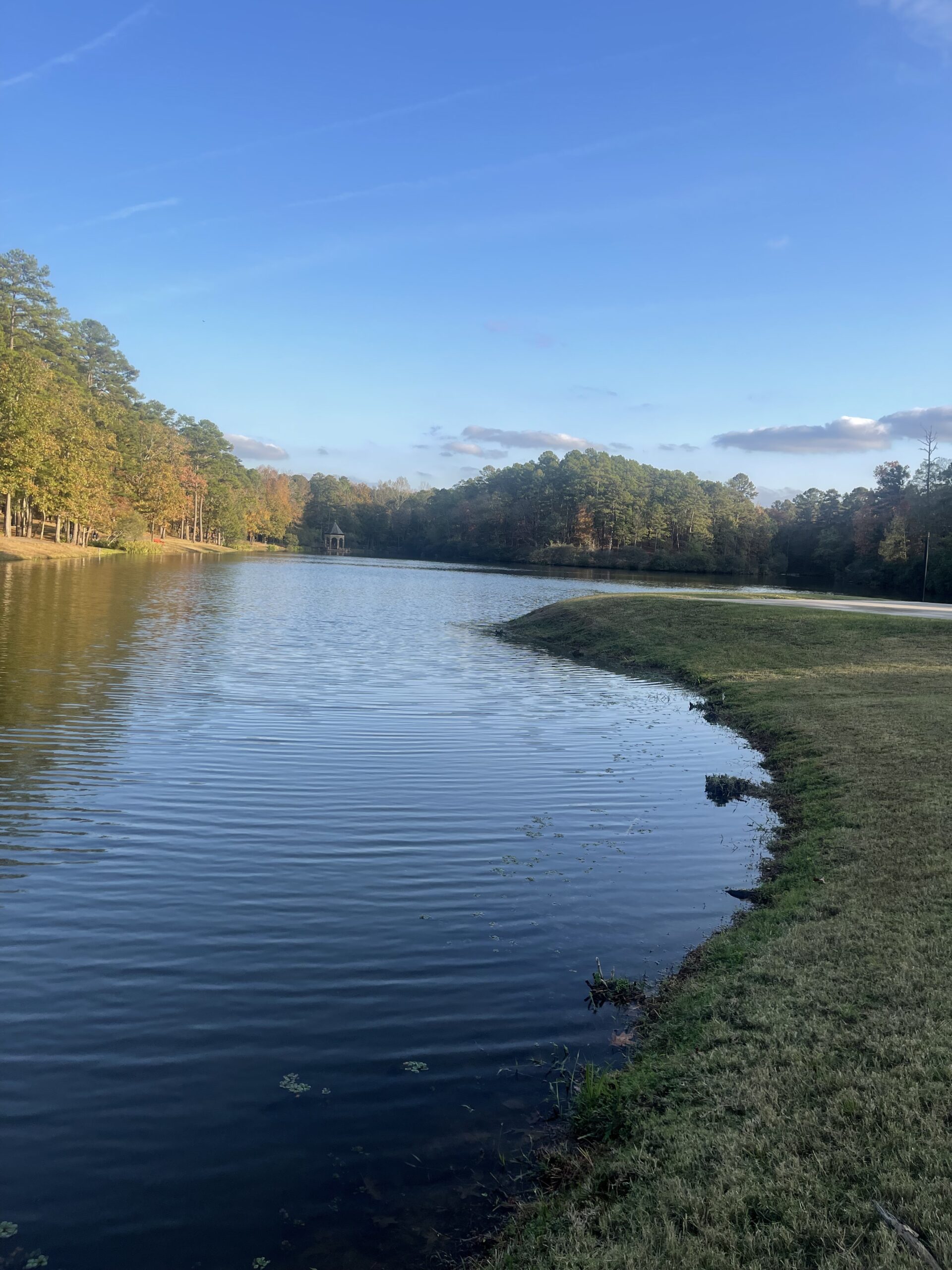 My favorite place to unplug in Little Rock